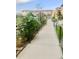 Outdoor community garden walking path features lush vegetation, flowers and sunflowers at 2879 W Parkside Pl, Denver, CO 80221
