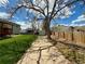 A spacious backyard with a concrete walkway, lush lawn, mature trees, and storage shed at 8595 Field Ct, Arvada, CO 80005