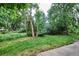 Backyard with green grass and mature trees at 9036 W Wisconsin Ave, Lakewood, CO 80232