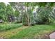 Green backyard with a slope and mature trees offers a private and natural outdoor space at 9036 W Wisconsin Ave, Lakewood, CO 80232