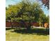 The backyard has a lawn, a privacy fence, and mature trees at 65 Reed St, Lakewood, CO 80226
