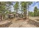 Charming home featuring a spacious patio area, surrounded by lush greenery and mature trees at 19475 Stag Ln, Monument, CO 80132
