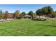 Spacious community green with a covered pavilion at 10654 Ashfield St, Highlands Ranch, CO 80126