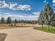 View of concrete driveway leading to the property, framed by mature trees and grassy areas at 8700 Flintwood Rd, Parker, CO 80138