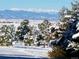 Scenic winter landscape with snow-covered trees and majestic mountain views in the background at 8700 Flintwood Rd, Parker, CO 80138