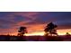 Beautiful sunset view highlighting the horizon with vibrant colors and silhouetted trees at 8700 Flintwood Rd, Parker, CO 80138