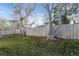 Backyard view shows a wood fence, mature trees, and green grass at 13215 Peacock Dr, Lone Tree, CO 80124