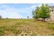 Large grassy backyard with a fence and stone fire pit at 5397 Lenox Ct, Castle Rock, CO 80104
