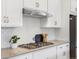 Well-equipped kitchen boasts stainless steel range hood, sleek countertops, and white herringbone backsplash at 10000 E 59Th Dr, Denver, CO 80238