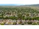 Aerial view of a residential neighborhood with homes and tree coverage with mountain views in the background at 14261 W Evans Cir, Lakewood, CO 80228