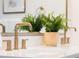 Close up of a bright bathroom featuring gold fixtures, a fern and quartz countertops at 3361 W 36Th Ave, Denver, CO 80211