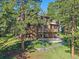 Rear view of a home with wood siding and a spacious deck, nestled among tall trees at 4228 Scenic Village Dr, Evergreen, CO 80439
