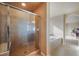 A luxurious bathroom features a glass-door shower and a tiled tub surround at 19703 Serenity Springs Pt, Monument, CO 80132