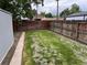Green grassy backyard is enclosed by a wooden fence at 4875 Lowell Blvd, Denver, CO 80221