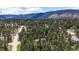 Overhead view of tree-lined neighborhood at 4456 Mohawk Dr, Larkspur, CO 80118