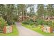 Scenic driveway leading to a home surrounded by lush trees and landscaping at 4456 Mohawk Dr, Larkspur, CO 80118