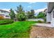 Spacious backyard featuring lush green grass, mature trees, and a well-maintained fence for privacy at 10172 Woodrose Ln, Highlands Ranch, CO 80129