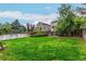 Lush green backyard with a well-maintained lawn, mature trees, and a charming wooden fence for privacy at 10172 Woodrose Ln, Highlands Ranch, CO 80129