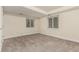 Basement bedroom with carpet flooring, white trim, and multiple windows letting in natural light at 10172 Woodrose Ln, Highlands Ranch, CO 80129