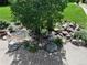 Charming backyard water feature with rocks and lush plantings, creating a tranquil outdoor oasis at 6940 Saddleback Ave, Firestone, CO 80504