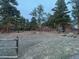 Expansive backyard featuring a string of lights, fire pit, and picnic table nestled among mature trees at 21437 Alta Dr, Morrison, CO 80465