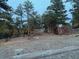 Expansive backyard featuring a string of lights, fire pit, and picnic table nestled among mature trees at 21437 Alta Dr, Morrison, CO 80465