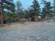 Expansive backyard featuring a string of lights, fire pit, and picnic table nestled among mature trees at 21437 Alta Dr, Morrison, CO 80465