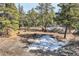 Wooded backyard features a rustic fire pit area with built-in seating and a mountain view at 21437 Alta Dr, Morrison, CO 80465
