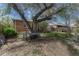Backyard showing large shade tree with a home exterior in the background at 1334 Xavier St, Denver, CO 80204