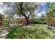 Grassy backyard with a large shady tree and a small table and chairs at 1334 Xavier St, Denver, CO 80204
