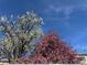 This view captures the vibrant colors of blooming trees against a clear blue sky, enhancing the property's curb appeal at 4273 W Ponds Cir, Littleton, CO 80123