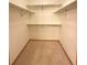 Well-organized walk-in closet with neutral carpet and built-in shelves, offering ample storage space at 3231 E 102Nd Pl, Thornton, CO 80229