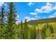 Picturesque mountain view with lush green forest and clear blue sky, offering a serene and natural backdrop at 322 Davis Ct, Breckenridge, CO 80424