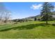 Large backyard with a mature evergreen tree and views of the mountains in the distance at 87 Deerwood Dr, Littleton, CO 80127