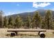 Wooden bench on a hill surrounded by beautiful trees and greenery at 11648 Broken Arrow Dr, Conifer, CO 80433