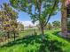 Private backyard with lush greenery, a shade tree, and iron fence at 2485 Greensborough Cir, Highlands Ranch, CO 80129