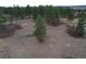 Expansive land features mature trees and natural beauty, perfect for building a custom home at 1561 Arrowpoint Ct, Franktown, CO 80116