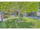 Charming home with a well-manicured lawn, mature tree, and inviting curb appeal at 8144 W 81St Dr, Arvada, CO 80005