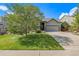Charming single-Gathering home featuring a well-manicured lawn and mature tree at 2333 Paint Pony Cir, Castle Rock, CO 80108