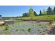 Scenic backyard featuring a hot tub, fire pit area, and lush landscaping for outdoor enjoyment at 735 Woodmoor Acres Dr, Monument, CO 80132