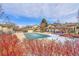 Neighborhood pool view of attached homes that have patios and great views with winter foliage at 8747 E Dry Creek Rd # 1623, Englewood, CO 80112
