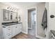 Neutral bathroom with a decorative mirror above the vanity and wood look flooring at 11584 Pine Canyon Ln, Parker, CO 80138