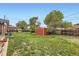 View of the spacious backyard with a wooden shed and green grass at 865 S 8Th Ave, Brighton, CO 80601