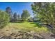 Expansive backyard with lush lawn, mature trees, and a wooden fence for privacy at 7294 S Syracuse St, Centennial, CO 80112