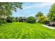 Expansive backyard with lush green lawn, mature trees, and a patio area ideal for outdoor entertaining at 11886 Birch Dr, Thornton, CO 80233