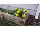 Close up of bright yellow daffodils in a rustic wood planter box, adding a touch of spring charm at 4693 Chatham St, Boulder, CO 80301