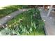 Landscaped front yard featuring decorative rock border and verdant greenery along the front sidewalk at 4693 Chatham St, Boulder, CO 80301