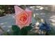 Close up of a peach rose and foliage near a sidewalk and home exterior at 4693 Chatham St, Boulder, CO 80301