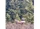 Moose standing near trees and shrubs in a mountain community at 297 Robertson Ln, Breckenridge, CO 80424