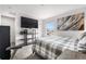 This cozy bedroom features a large television, plaid comforter, modern art, and a window view at 5597 Pinto Valley St, Parker, CO 80134
